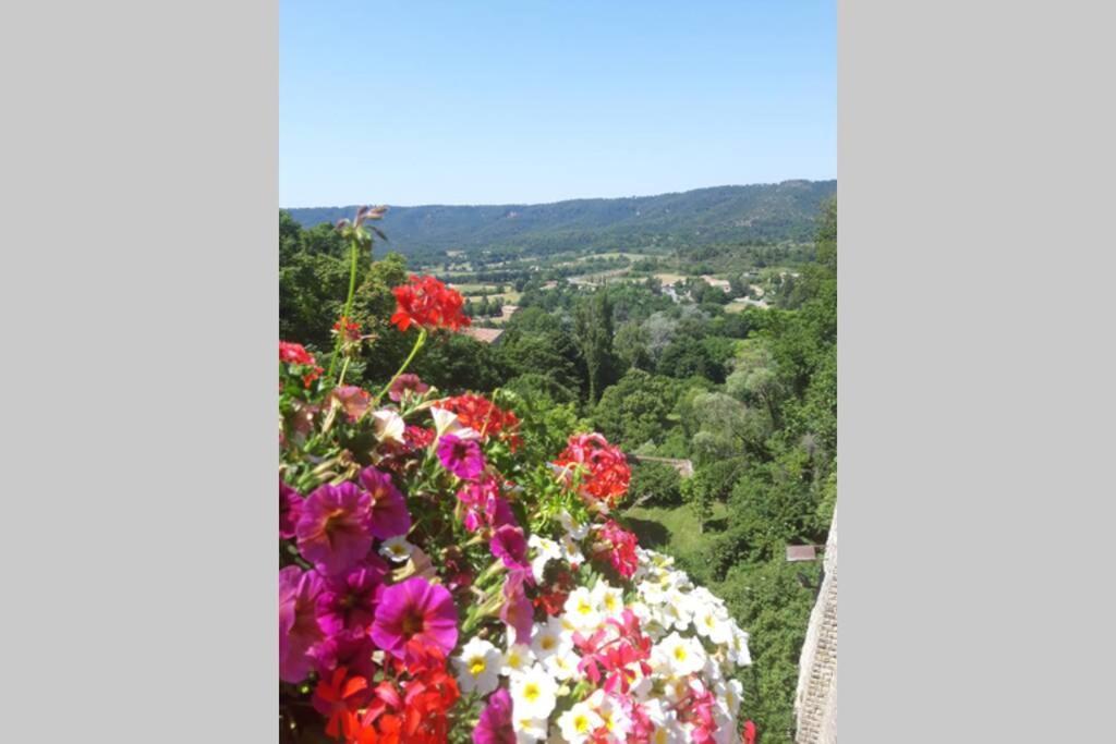 Lou paradiú du verdon Allemagne-en-Provence Exterior foto